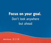 Focus on your goal and don't look anywhere but ahead - Birdie SEO